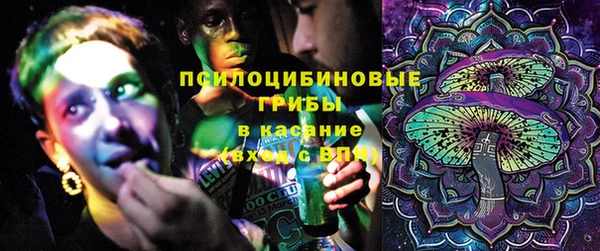 ешки Алексеевка