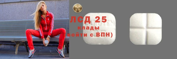 крисы Алзамай