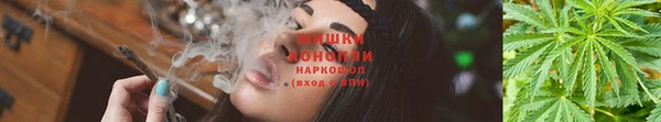 ешки Алексеевка