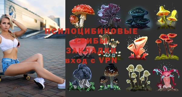 ешки Алексеевка
