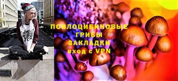 меф Алексин