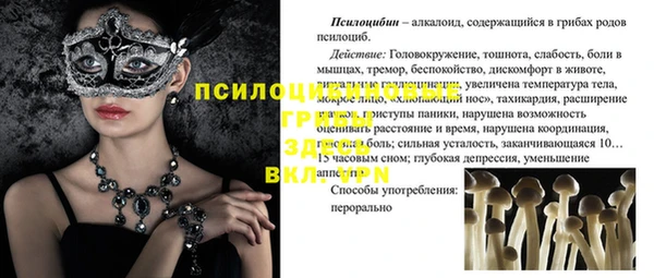 меф Алексин