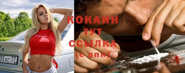 крисы Алзамай