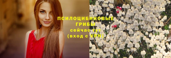 меф Алексин
