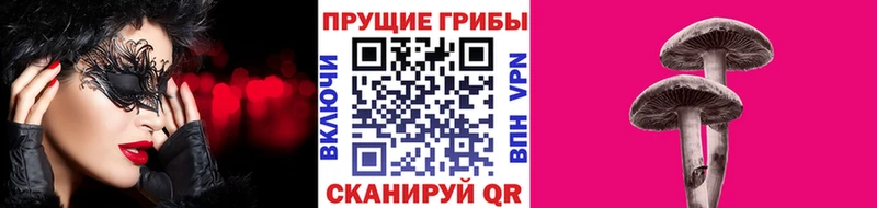 цена   Дрезна  Галлюциногенные грибы Psilocybine cubensis 